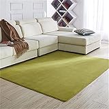 Teppich Modern Super Soft Touch Grün Korallen Teppich Shaggy Wohnzimmer Großer Rugs Flauschiges Schlafzimmer Kurzflor Rugs Indoor Anti Rutsch Carpet Geeignet für Wohnkultur(60)