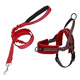 SlowTon No Pull Hundegeschirr Set mit Leine für kleine Hunde, Front Lead Walk Vest Harness Weich gepolstertes, reflektierendes, verstellbares Welpengeschirr Anti-Twist 4FT Pet Lead Quick F