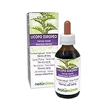 Ufer-Wolfstrapp oder Gemeiner Wolfstrapp (Lycopus europaeus) Kraut Alkoholfreier Urtinktur Naturalma | Flüssig-Extrakt Tropfen 100 ml | Nahrungsergänzungsmittel | Veg
