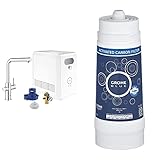 GROHE GROHE Blue Professional | Küchenarmaturen - L-Auslauf Set | chrom & Blue Accessories für die Küche | Aktivkohlefilter, BWT Austauschfilter für GROHE Blue Professional Sy