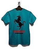 Fibonacci Ferrari T-Shirt Tuerkis 2XL