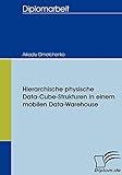 Hierarchische physische Data-Cube-Strukturen in einem mobilen Data-Warehouse (Diplomica)