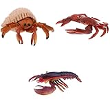 SM SunniMix 3/Set Sea Life Creatures Collection Hummer & Krabben Seaside Beach Animal Decor Display Kinderspielzeug Party F