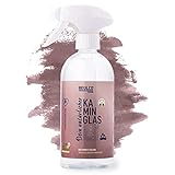 BEULCO CLEAN - Bio Kaminglasreiniger 500ml Spray umweltfreundlich - Kaminglas Ofen-Scheiben-Reiniger für Schmutz & Ruß - Kaminofen Glasreiniger extra stark, Ofenglas Kamin-Reiniger biologisch abbaub