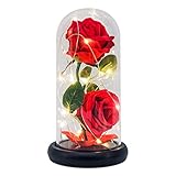 Die Schöne und das Biest Rose Geschenk Kit, rote Seide Rose und LED-Licht mit gefallenen Blütenblättern Geschenke für Hauptdekor, Valentinstag Geburtstag für sie, Jubiläum, Hochzeitstag, Weihnachtstag
