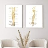 HäNde Beine Physiotherapie Anatomie Leinwand GemäLdedruck Bild Nordic Poster Und Kunstdrucke Wandbilder FüR Wohnzimmer Dekor 40x60cmx2 Kein R