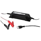 ANSMANN Autobatterie Ladegerät ALCT 6-24/4 - Vollautomatisches Batterieladegerät für Autobatterien & Bleiakkus mit 6V, 12V & 24V / 4A - Erhaltungsladegerät ideal für PKW, Motorrad, B