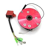 Sensiabl Racing Magneto Innenrotor-Kit Stator CDI für ATV Quad Dirt Bike Dune Buggie Kit für 110cc 125cc 140cc YX Dirt Bik