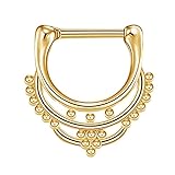 TT- Chirurgenstahl Segmentring Clicker | Piercing Ring Nase Septum Ohr Helix Tragus | Farbauswahl iercing Ohrringe Nasenpiercing Ring Schmuck Nose Rings Clip On Circle Nose Piercings (B, One Size)