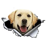 A/X 13cmx8.5cm Haustier Hund Labrador Retriever 3D zerrissen Autoaufkleber Original Design Viny