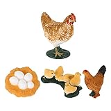 YARNOW 4Pcs Leben Zyklus von Huhn Kunststoff Bauernhof Tiere Action- Figuren Tiere Wachstum Zyklus Eier Figuren Kinder Pädagogisches Tier Wissenschaft Spielzeug