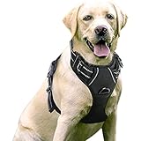 rabbitgoo No-Pull Hundegeschirr für große Hunde Welpengeschirr Einstellbar Weich Geschirr Sicher Kontrolle Brustgeschirr Gepolstert Dog Harness Schwarz XL