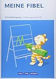 Meine Fibel - Aktuelle Ausgabe - 1. Schuljahr: Schreiblehrgang in Schulausgang