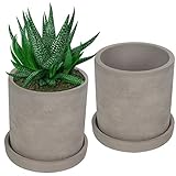 BELLE VOUS Sukkulenten Topf Set (2 STK.) - Grau Zement Blumentopf mit Untersetzer - Runde Entwässerung Löcher für Kleine Pflanzen, Blumen, Kakteen & Kräuter - Stilvoll für Haus, Büro & F