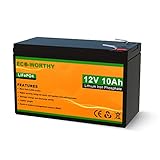 ECO-WORTHY 12V 10Ah LiFePO4 Akku Lithiumbatterie wiederaufladbar mit über 3000 Mal Tiefzyklus und BMS-Schutz für USV-Anlage, UPS, Solaranlage, elektrisches Spielzeug, Marine, Alarmsysteme und N