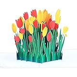 3D-Pop-Up-Grußkarte, Tulpenblume, Geburtstagskarte für Mütter, Valentinstag, Grußkarte mit Umschlag