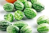 Mini Wassermelone Obst Gemüse Samen 5+ Cucamelon mexikanische saure Gurke Melothria scobra für Hausgarten Outdoor Yard Farm Planting