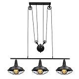 LHFHA Kronleuchter Beleuchtung Deckenleuchten Wohnzimmer Esstisch Pendelleuchten Dekoration Flaschenzug Anhänger Industrieller Vintage Metallkäfig Lampenschirm Häng