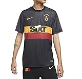 Nike Galatasaray Away Trikot (L, Black)