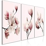 murando - Bilder Blumen 120x60 cm Vlies Leinwandbild 3 TLG Kunstdruck modern Wandbilder XXL Wanddekoration Design Wand Bild - Magnolien b-C-0354-b