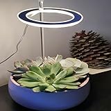 MMIN Engel DREI Ring Wachsen Licht DC5V USB. Phytolampe for Pflanzen Führte Volle Spektrumlampe for Innenpflanze Sämlinge Home Flower Succulet (Emitting Color : Pink White 3 Head)