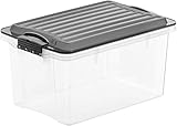 Rotho Compact Aufbewahrungsbox 4,5l mit Deckel, Kunststoff (PP) BPA-frei, grau/transparent, A5/45l (27,0 x 18,5 x 15,0 cm)