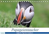 Papageientaucher 2022 - Magische Vögel des Nordmeers (Tischkalender 2022 DIN A5 quer)