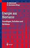 Energie aus Biomasse: Grundlagen, Techniken und V