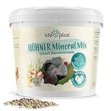 Ida Plus – Hühner-Mineral-Mix 5 Kg – einzigartige Futterkalk Mineralstoffmischung mit Anis – wertvollen Mineralien für bessere Eierschalenqualität – enthält Muschelkalk & Calcium – für Hühner & Kük