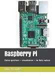 Raspberry Pi: Daten speichern – visualisieren – im N