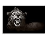 Sinus Art Fotoleinwand 60x40cm Tierfotografie – Brüllender afrikanischer Löwe schwarz weiß