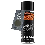 RAL 6006 Grauoliv Spraydose 400 ml matt schnelltrock