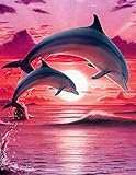 Bougimal 5D Diamant Painting Bilder Delphin, DIY Diamant Malerei Full Erwachsene für Wall Decoration Geschenk,40X50