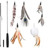 Boyanenes Interaktives Katzenspielzeug Feder, Katzenspielzeug Einziehbare Natürliche Federstab Katze Spielzeug mit 5 Stück Katzenangel Ersatz mit Glocken Katzenspielzeug