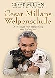 Cesar Millans Welpenschule: Die richtige Hundeerziehung von Anfang