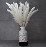 BATRIOZO® Pampasgras getrocknet · Weiß · 20 Stück · ca.60cm · fluffige Wedel · Trockenblumen Bündel · Deko Wohnzimmer & S