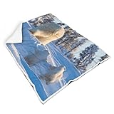 Rtisandu Kuscheldecke Babys Eisbär Wohndecke Super Weiche Plüsch Decken Gedruckt Sofadecke für Sofa Blanket White 150x200