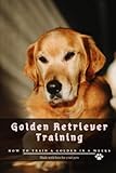 Golden Retriever Training: How To Train A Golden In 6 Week