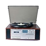 YAMMY Plattenspieler, Music Box Vinyl-Plattenspieler, Vintage Phonograph Plattenspieler mit eingebauten Stereo-Lautsprechern unterstützen P (Vintage Phonograph)