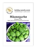 Mexikanische Mäusegurke Melothria von Bobby-S