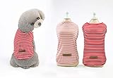 YAODHAOD Cotton Striped Hund T-Shirt,Party Kostüm, Shirts weich und bequem, Atmungsaktiv dehnbar für kleine mittlere Hunde oder Katzen（2er-Pack (XXL, Rot + Pink)