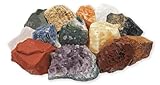 Mineralien Set mit Bonus Amethyst Kristall | 12 ausgesuchte Rohsteine plus Amethyst-Stück für Mineraliensammler und Edelstein-Liebhaber | Geschenk, Beigabe Give-away, Schatzsuche Dek