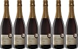 Alde Gott Winzer Schwarzwald Spätburgunder Rot Sekt'Ausblick' 2019 Trocken (6 x 0.75 l)