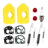 AISEN 2 Staz Luftfilter mit Vergaser Membran Reglerfeder Feder für Briggs & Stratton Quattro 450 500 550 Series 698369 Classic Sprint 795083 694394 692211 691859