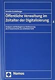 Öffentliche Verwaltung im Zeitalter der Digitalisierung: Analysen und Strategien zur Verbesserung des E-Governments aus rechtlicher S