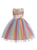 Mädchen Pailletten-Tutu-Kleid, formelle Hochzeit, Brautjungfer, Party, Taufe, Prinzessin, Spitzenkleid für Kinder Gr. 4-5 Jahre, champagnerfarb