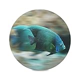 Grünes Schnelles Fischmeer Runde Platzsets Hitzebeständig Tischsets rutschfest Platzdeckchen für Heim Speisetisch Küchendeko(Sets von 6,4,1)