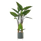 Bäume Künstliche Geige Blatt Feige Tree 23/63 Zoll Gefälschte Ficus Lyrata Pflanze mit Dickem Kofferraum für Wohnsitz Outdoor Decor(ohne Pot) (Größe : 60cm)