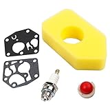 OxoxO Luftfilter 698369 4216 mit Vergaser-Membrandichtung 495770 Primer Bulb 694394 Zündkerze für Briggs & Stratton 3,5-4,5 PS Classic Sprint Quattro M
