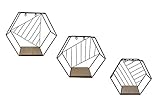 Metall Wandregal Hexagon im 3er Set - Sechseck Regale in 3 unterschiedlichen Größen - Design Hängeregal Bad Regal Küchenreg